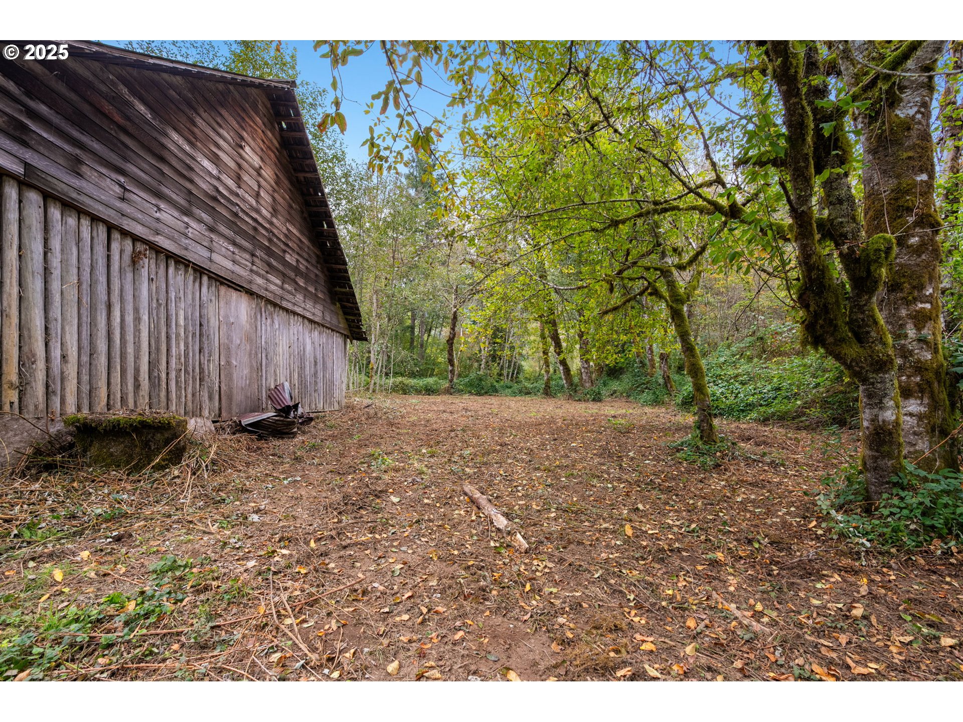 0 Northeast Yale Bridge Road Amboy, WA 98601 - Photo 8 of 28 a view of backyard and tree
