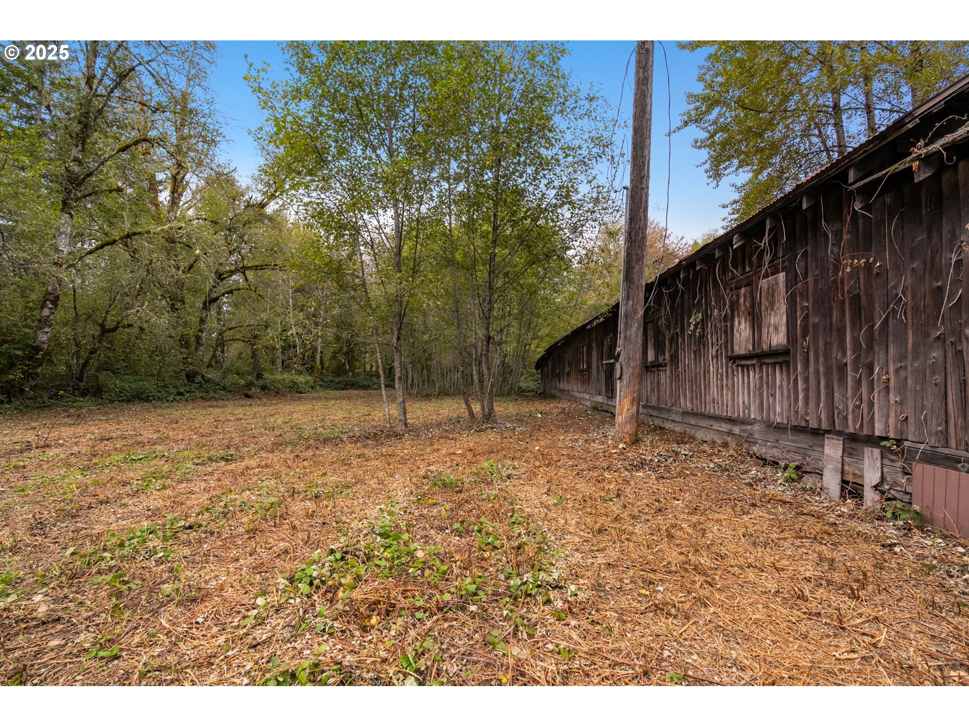 0 Northeast Yale Bridge Road Amboy, WA 98601 - Photo 9 of 28 a backyard of a house with lots of green space