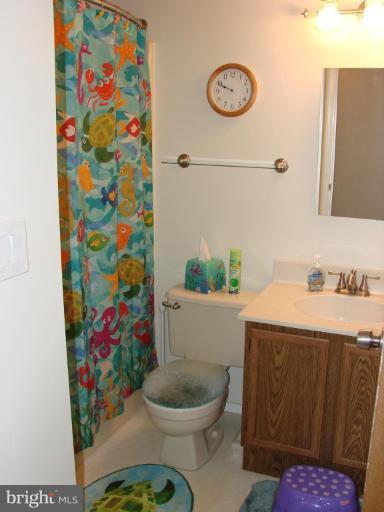 239 Sandhill Road Essex, MD 21221 - Photo 14 of 18 a bathroom with a sink a toilet and a shower curtain