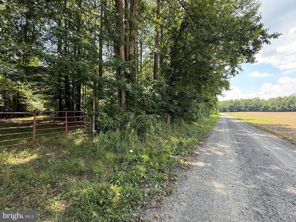 37-38 39 Field Trail Road Lancaster, VA 22503 - Photo 2 of 10 a view of outdoor space and yard