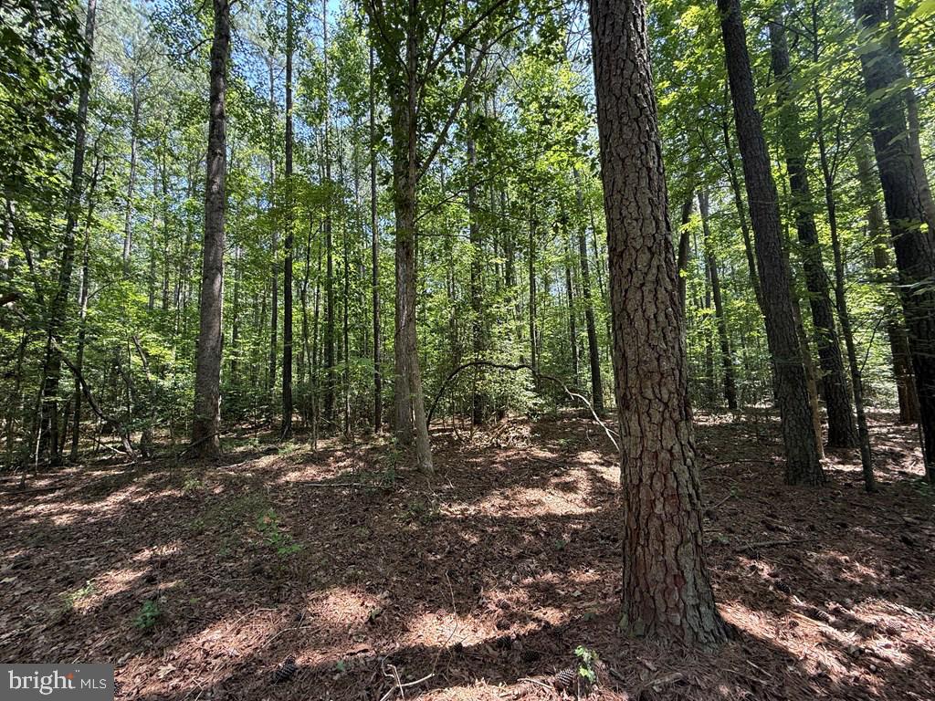 37-38 39 Field Trail Road Lancaster, VA 22503 - Photo 7 of 10 a view of outdoor space and green space