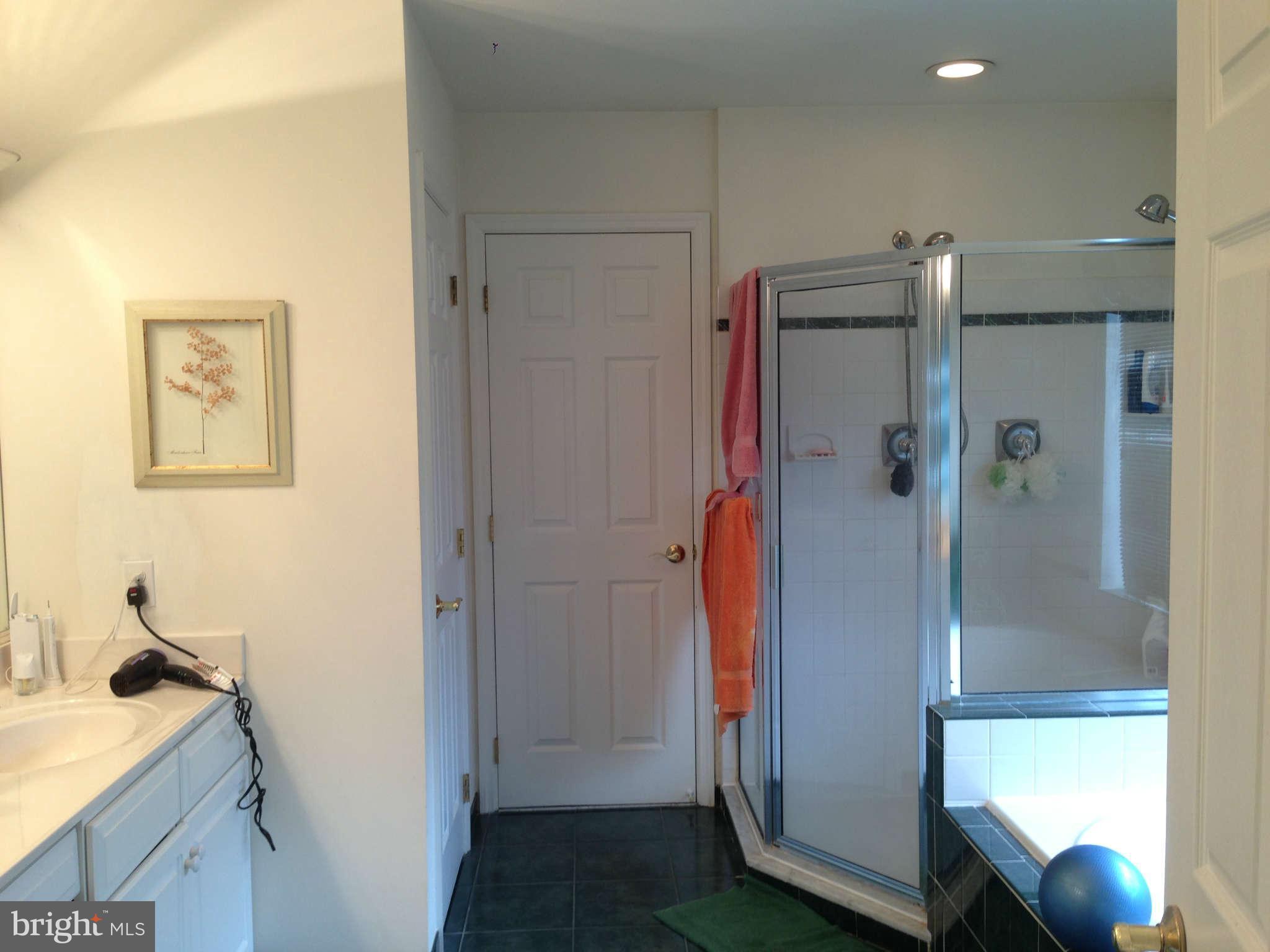 3981 View Top Road Ellicott City, MD 21042 - Photo 10 of 23 Bath (Master)