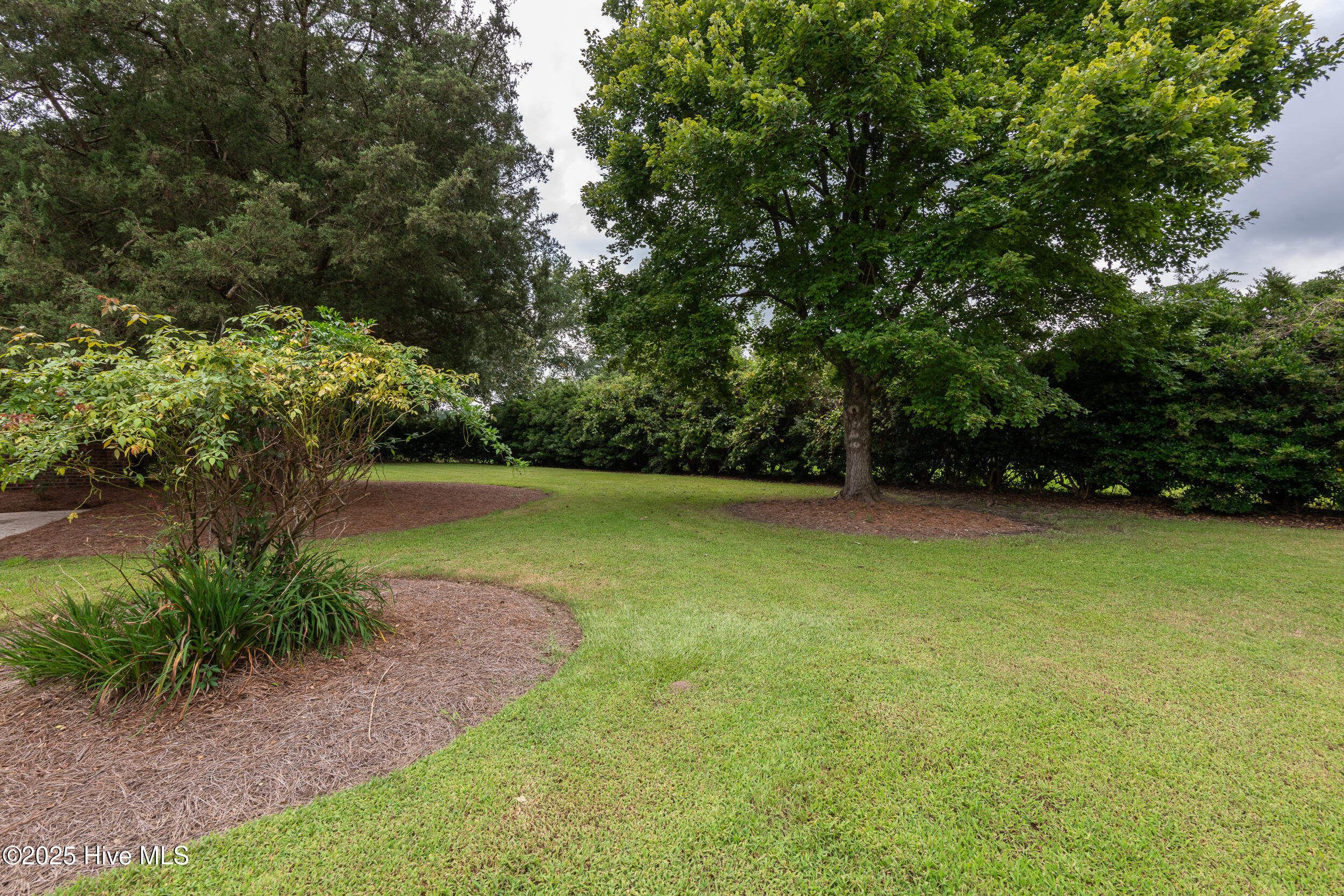 1138 Galloway Road Grimesland, NC 27837 - Photo 12 of 62 1138_Galloway-13