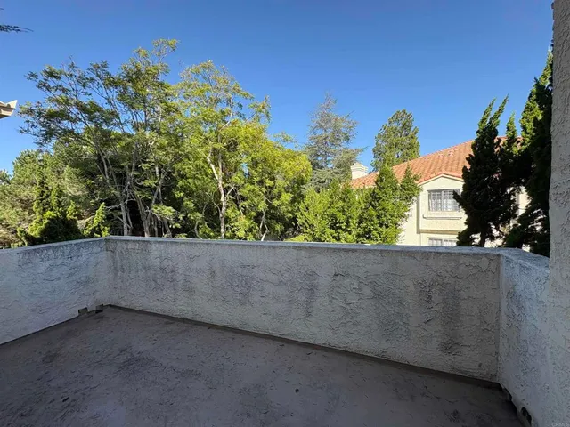 a view of a garden with plants