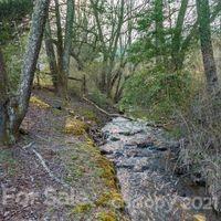 858 Moody Bridge Road Cullowhee, NC 28723 - Photo 43 of 47 Gallery Image 43