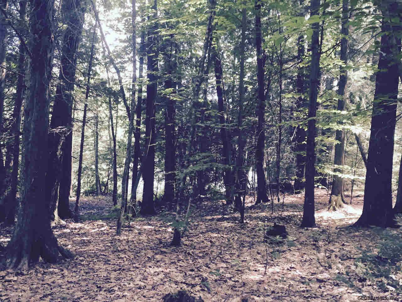 369 Valley Farm Road Chester, NY 12860 - Photo 29 of 29 Photo 29