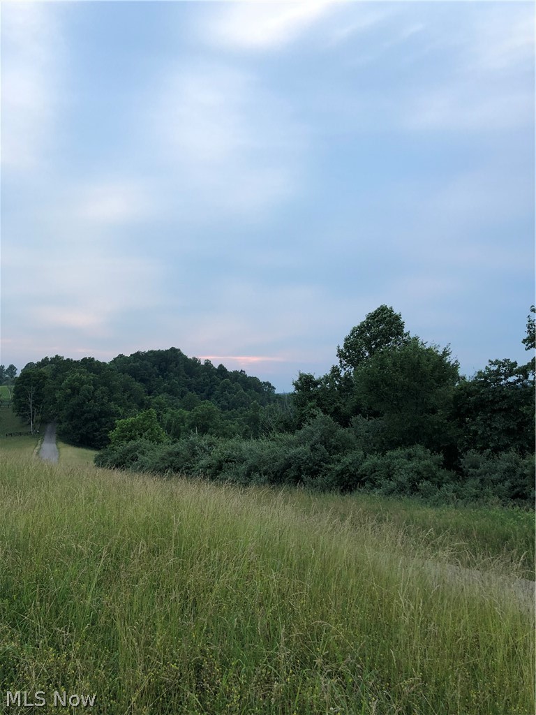 2411 Gates Ridge Road Rockport, WV 26169 - Photo 2 of 9 Gallery Image 2