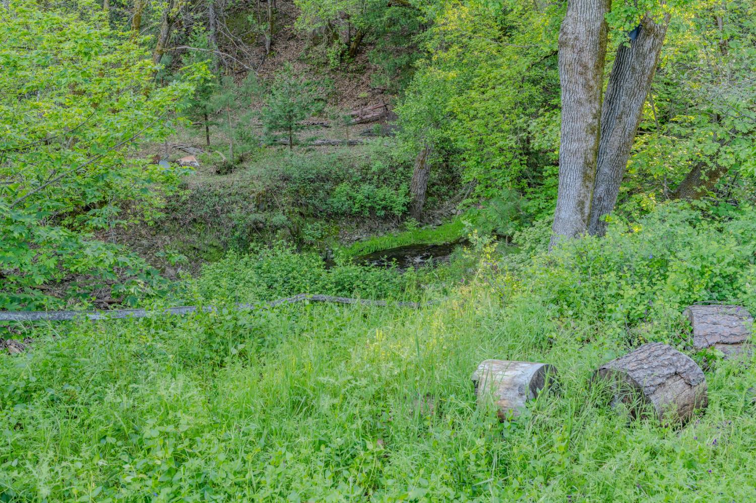 8792 Hidden Valley Road Mountain Ranch, CA 95246 - Photo 39 of 59