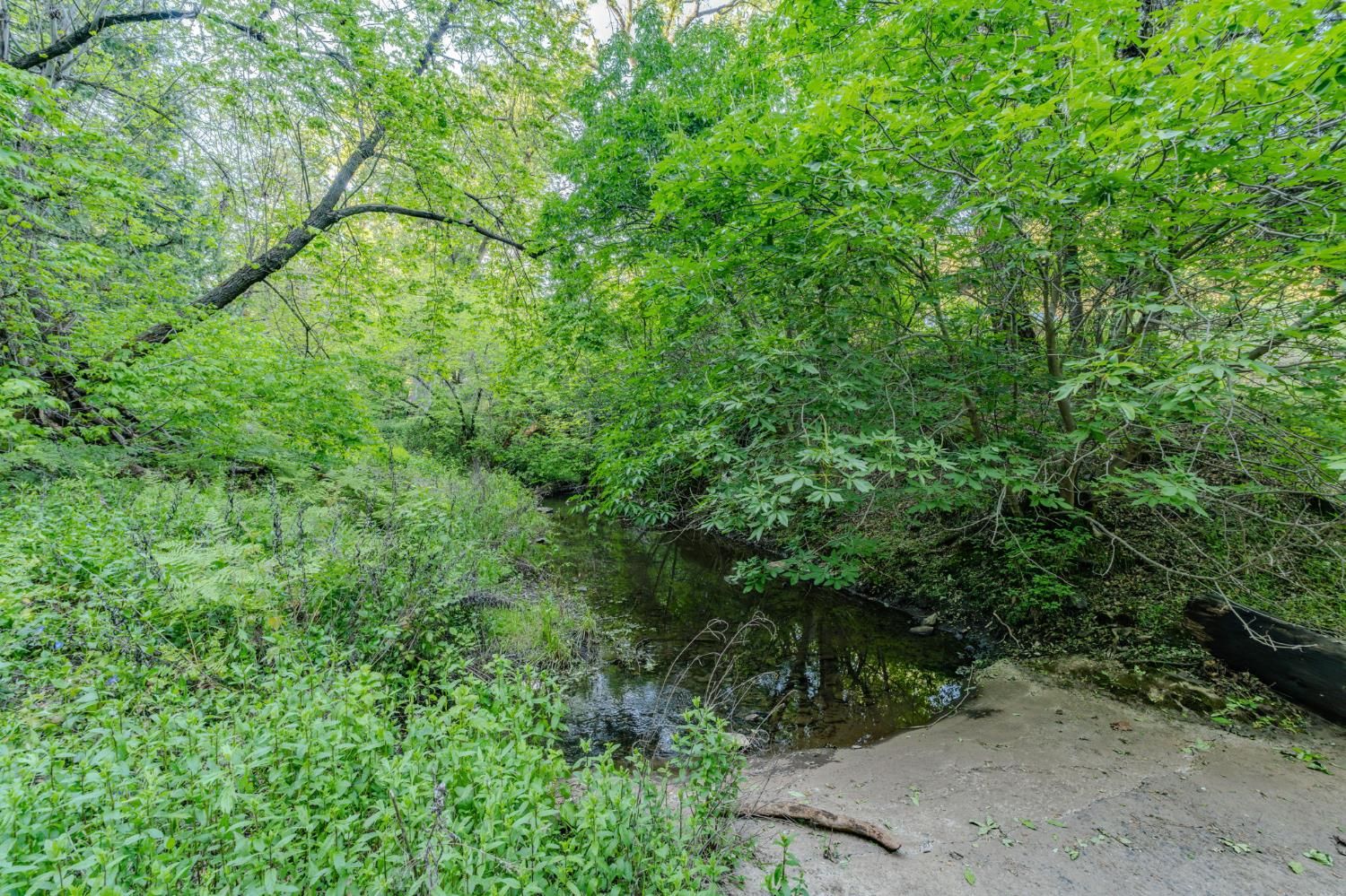 8792 Hidden Valley Road Mountain Ranch, CA 95246 - Photo 42 of 59