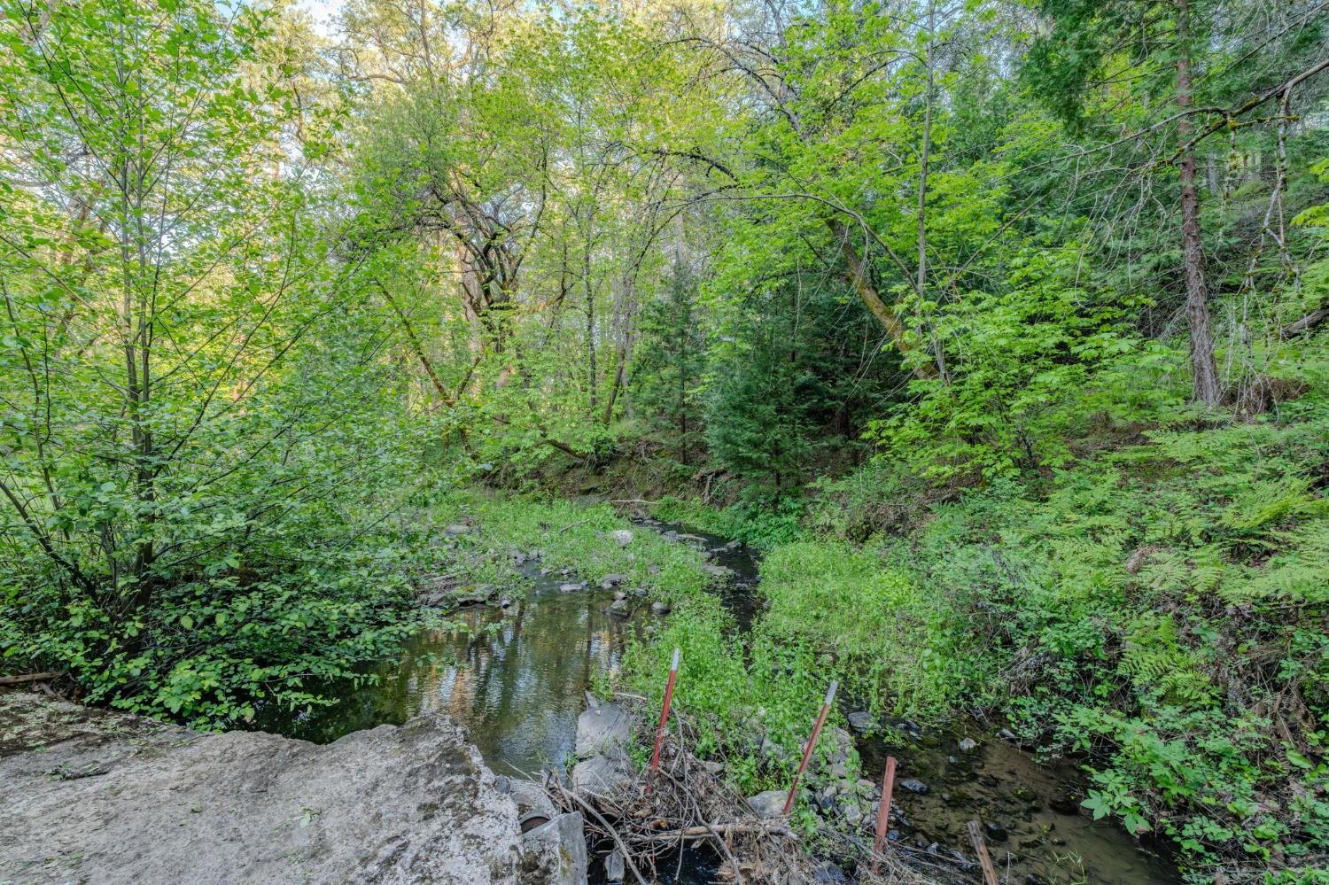 8792 Hidden Valley Road Mountain Ranch, CA 95246 - Photo 43 of 59