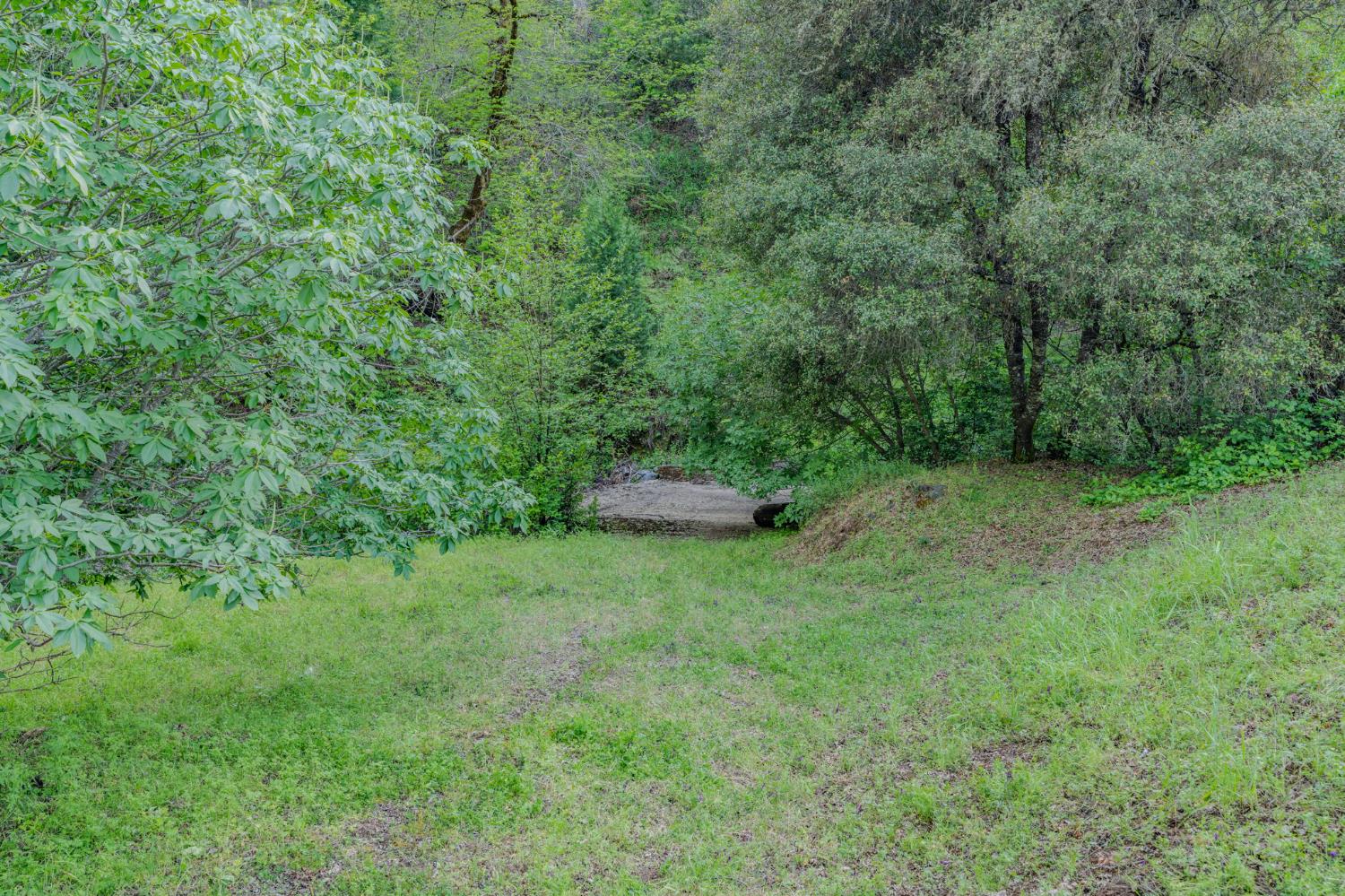 8792 Hidden Valley Road Mountain Ranch, CA 95246 - Photo 44 of 59