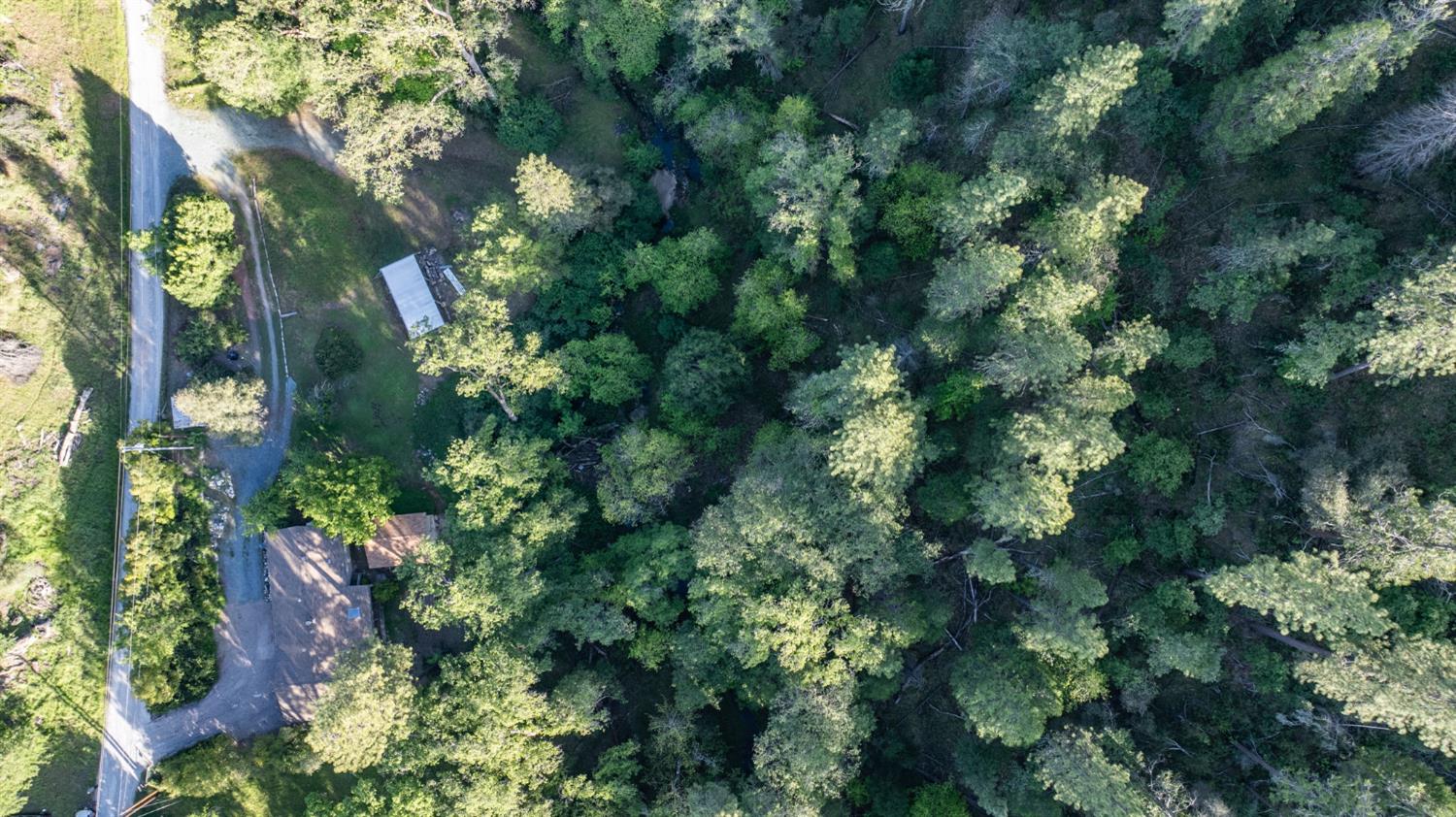 8792 Hidden Valley Road Mountain Ranch, CA 95246 - Photo 47 of 59