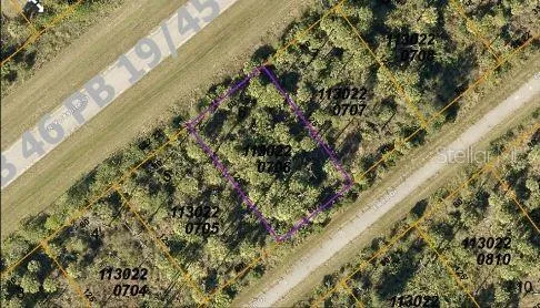 a close up of a plant with a plant