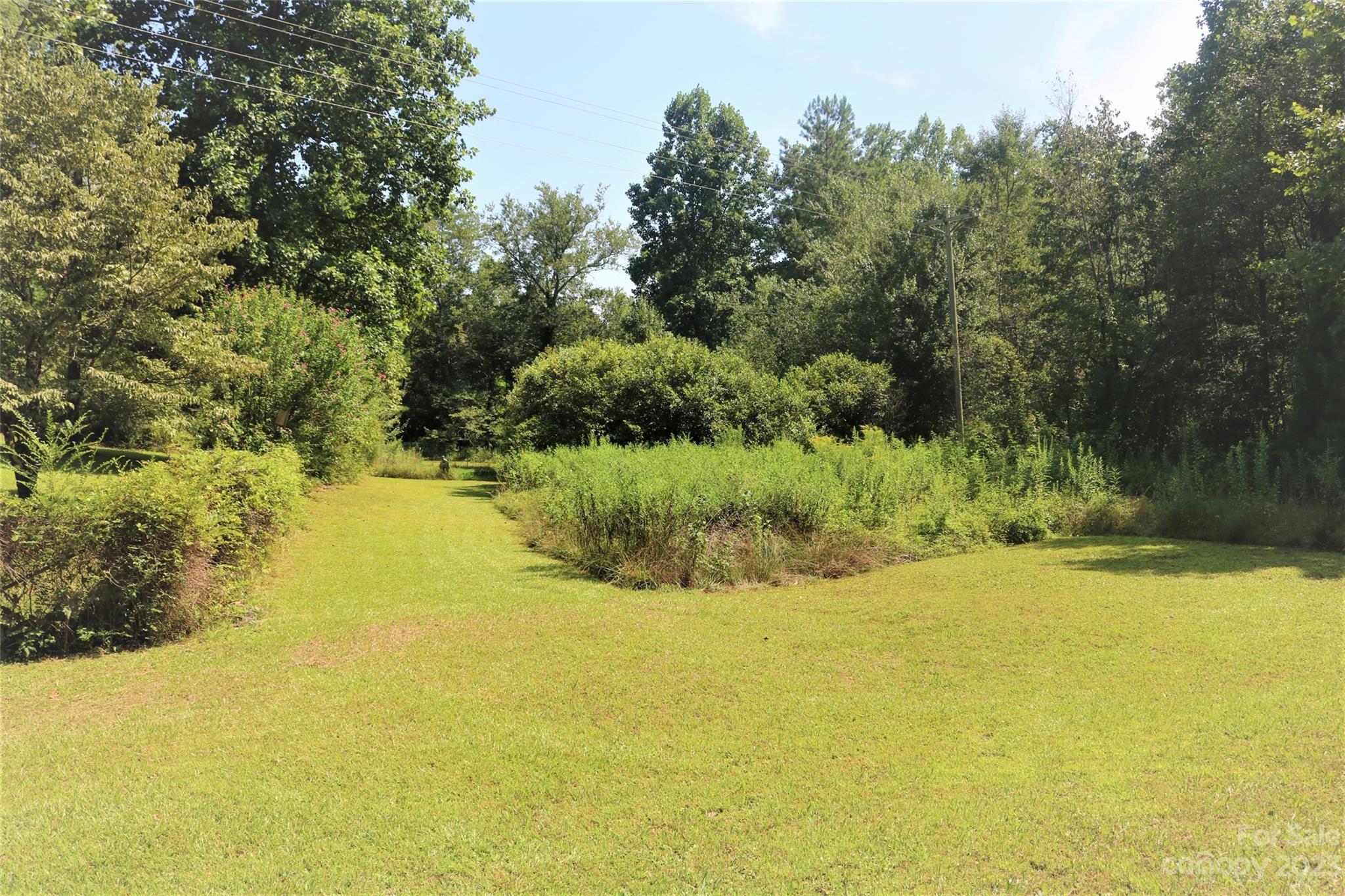 2919 Grassy Knob Road Mill Spring, NC 28756 - Photo 13 of 29 a view of yard with swimming pool and green space