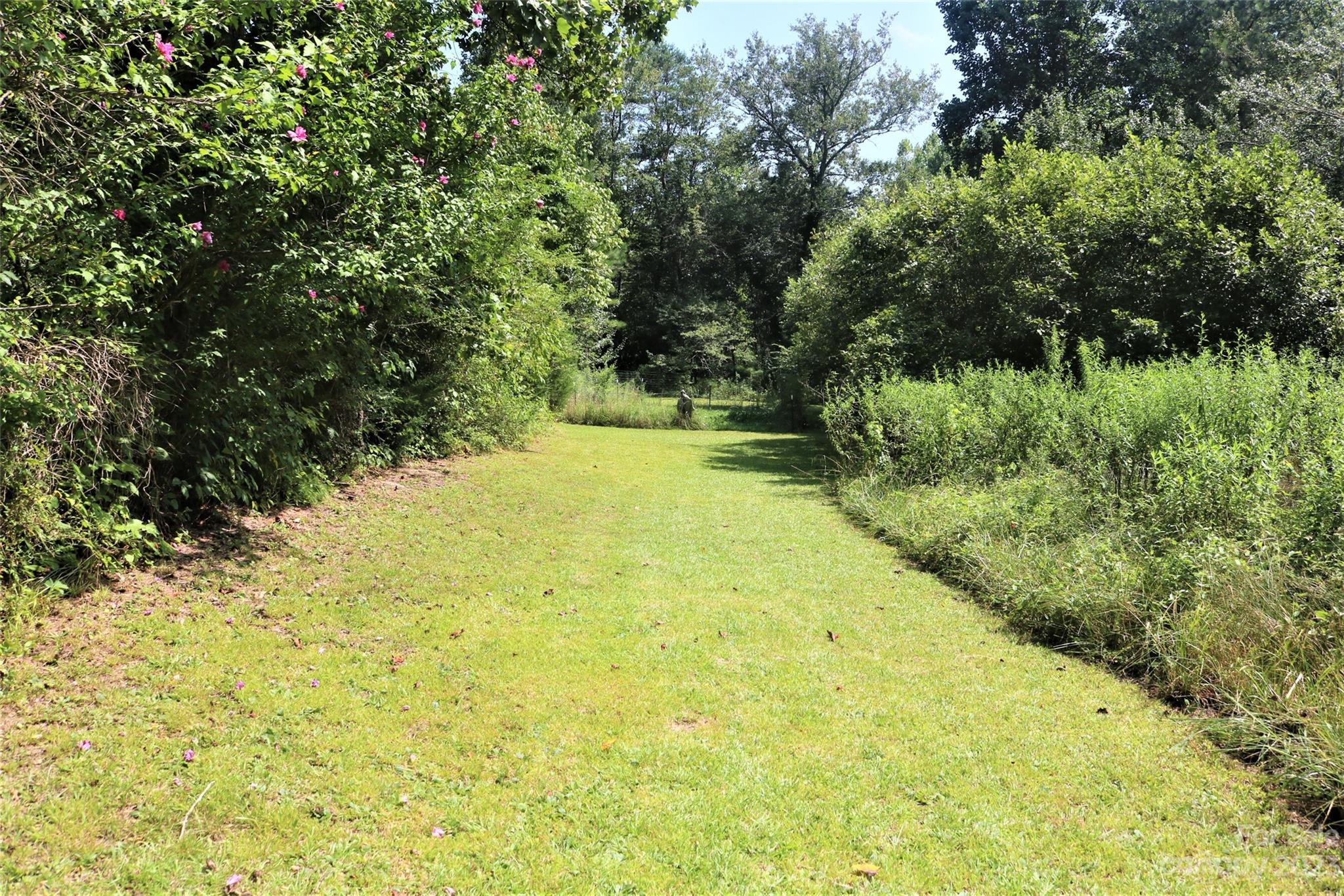 2919 Grassy Knob Road Mill Spring, NC 28756 - Photo 14 of 29 a view of yard with green space