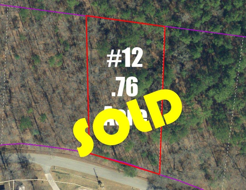 0 Cunningham Slough Road Waterloo, SC 29384 - Photo 22 of 31