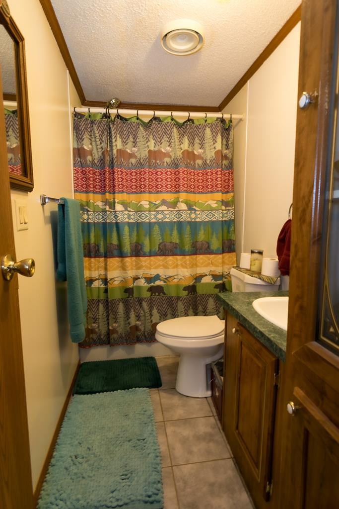 3260 Duncan Springs Road Seymour, TN 37865 - Photo 20 of 32 a bathroom with a sink mirror vanity and toilet