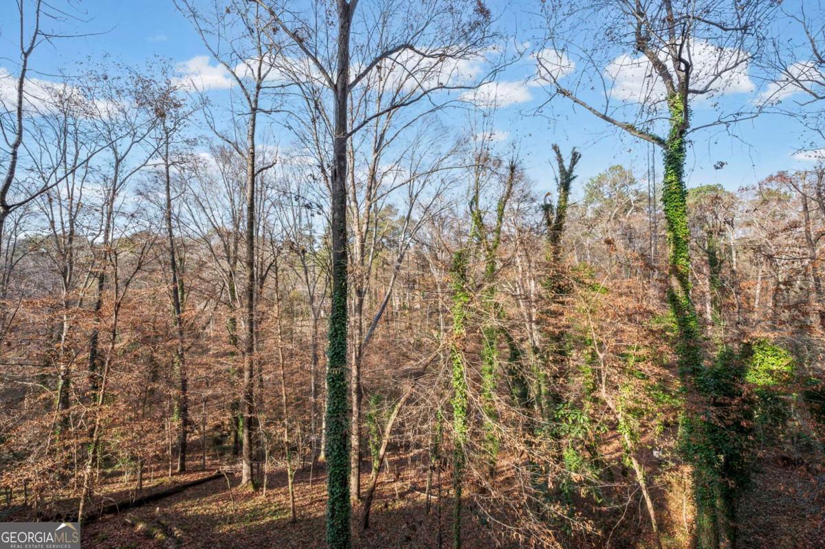 2710 Margaret Mitchell Drive Northwest Atlanta, GA 30327 - Photo 48 of 50