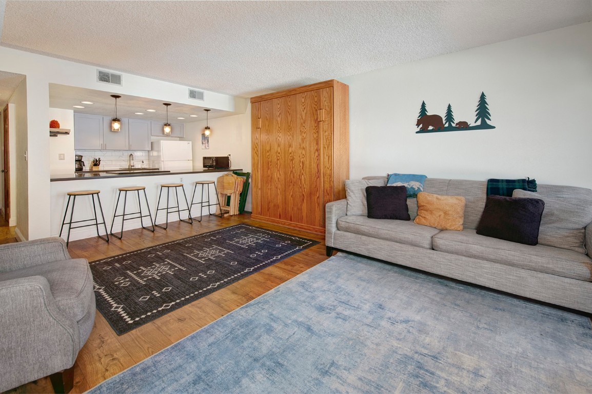 500 Bills Ranch Road, Unit 131 Frisco, CO 80443 - Photo 2 of 35 a living room with furniture rug and a window