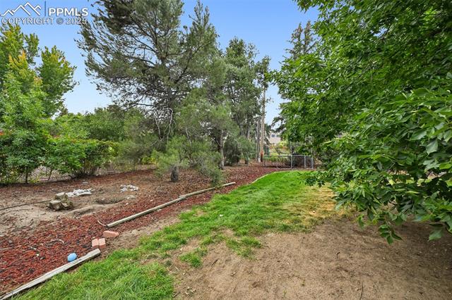 1263 York Road Colorado Springs, CO 80918 - Photo 24 of 29 View of yard