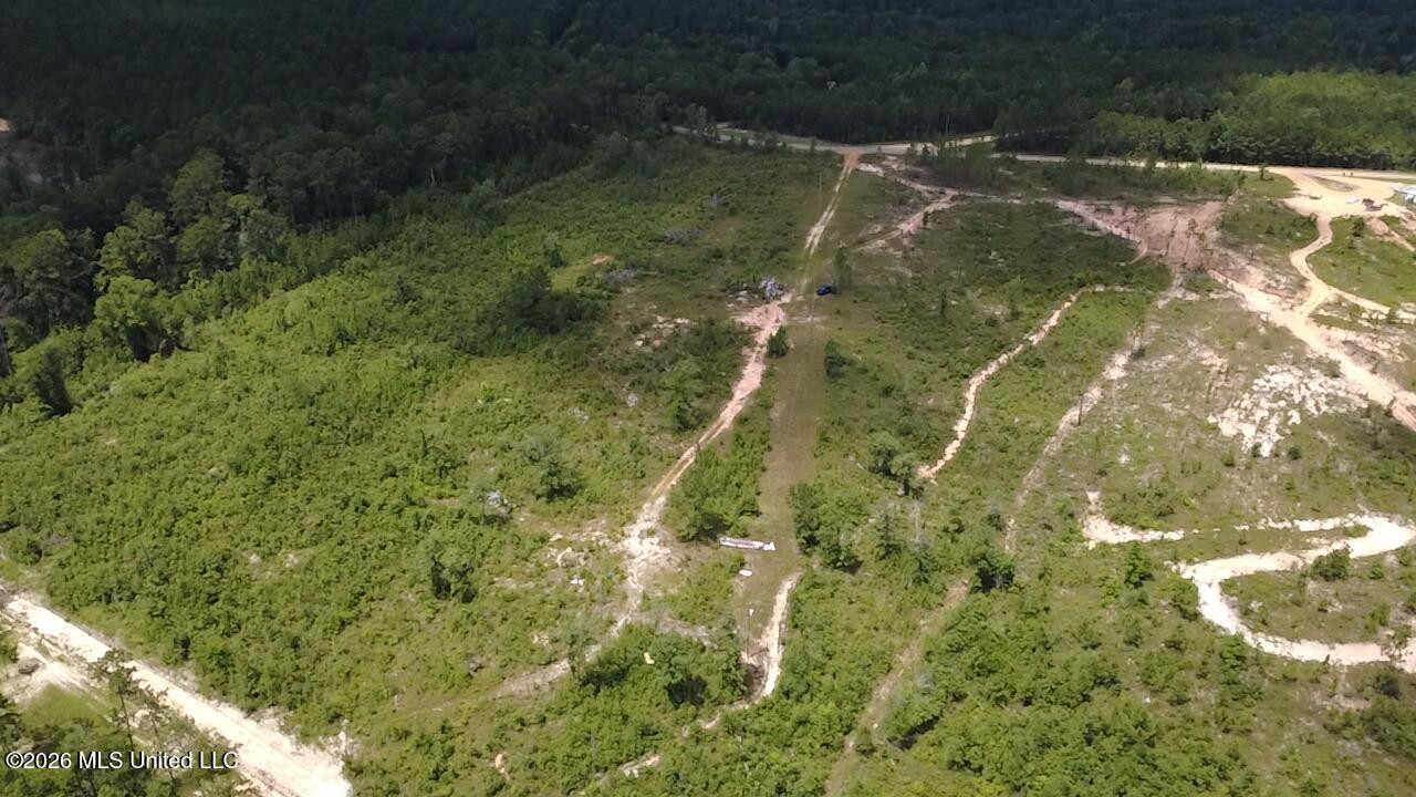 196 South County Line Road Lumberton, MS 39455 - Photo 3 of 18 WICW3040