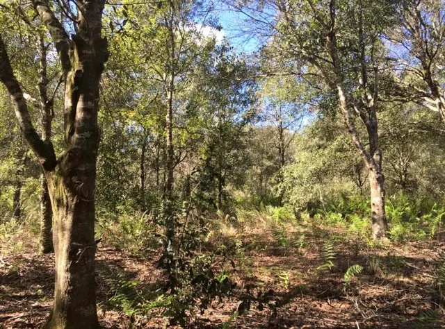 $120,000 | 17444 Northwest 286th Street, Okeechobee, FL 34972