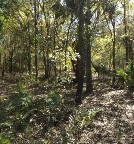 $120,000 | 17444 Northwest 286th Street, Okeechobee, FL 34972