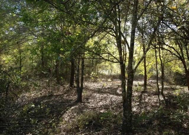 $120,000 | 17444 Northwest 286th Street, Okeechobee, FL 34972