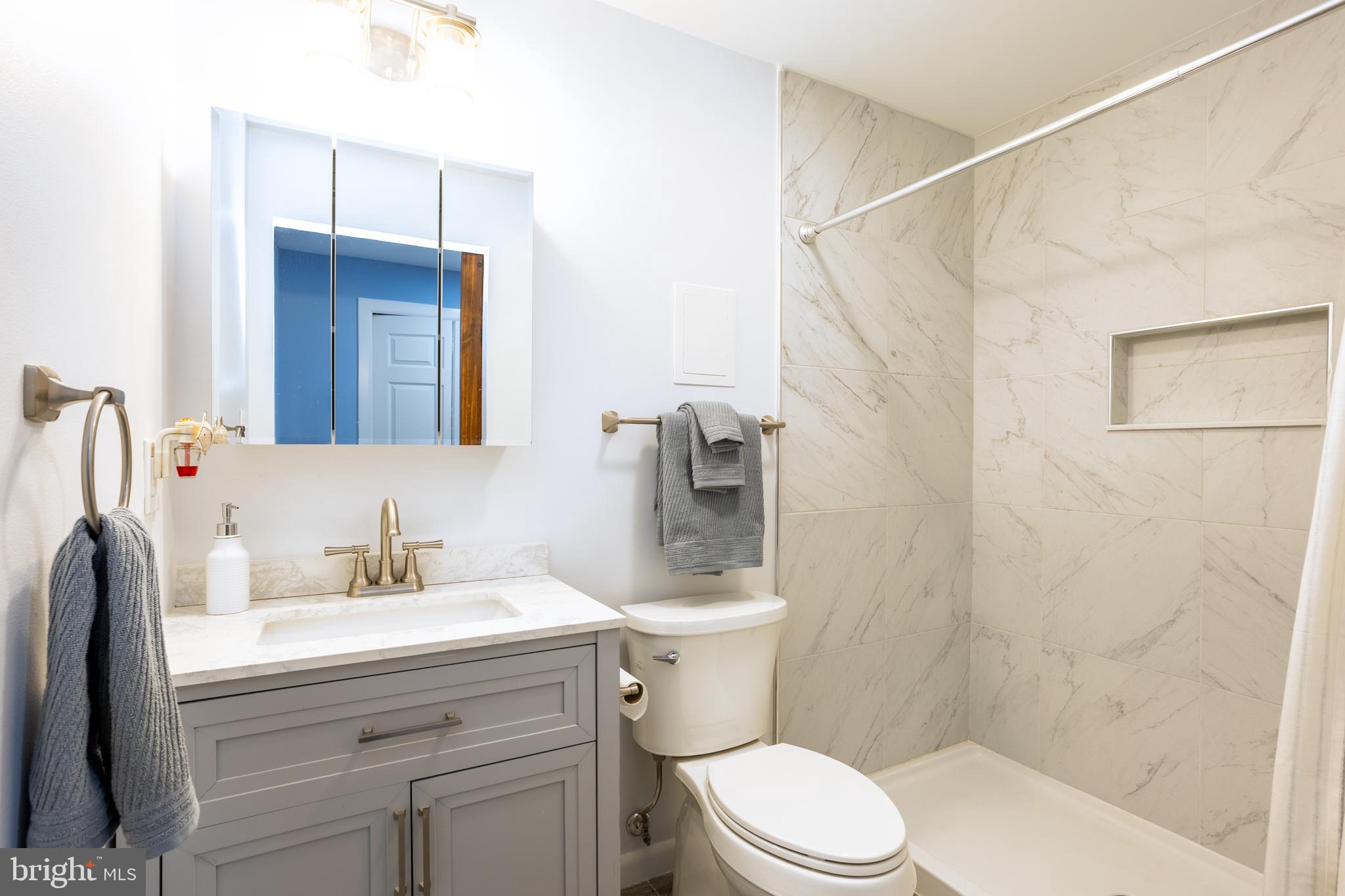 1583 Star Pine Drive Annapolis, MD 21409 - Photo 23 of 37 a bathroom with a sink a toilet and shower