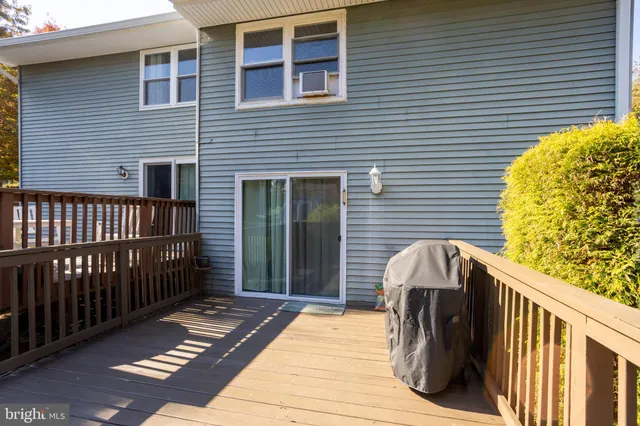 a view of a backyard with plants