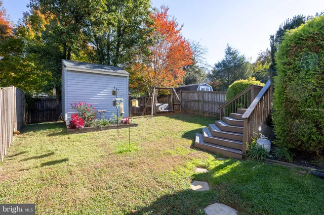 a view of a backyard with a tree