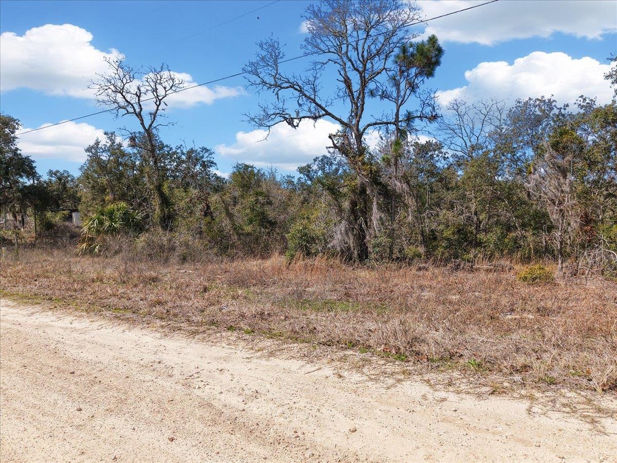 0 Fiddlers Way Perry, FL 32348 - Photo 2 of 16