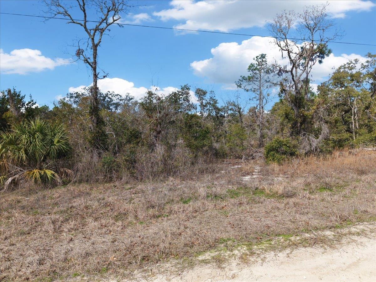 0 Fiddlers Way Perry, FL 32348 - Photo 3 of 16