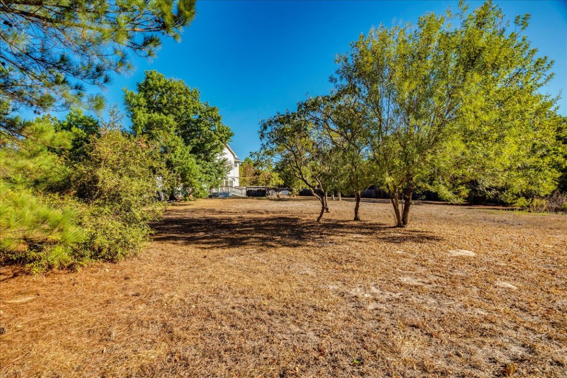 171 Pin Oak Crossing Elgin, TX 78621 - Photo 30 of 32