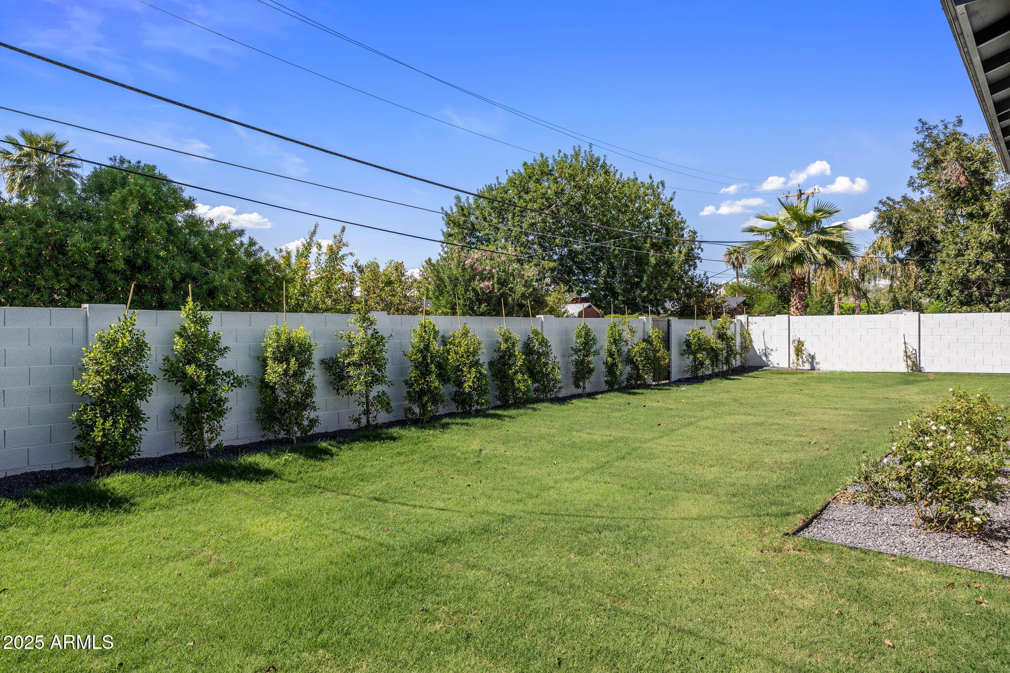 2942 North 47th Place Phoenix, AZ 85018 - Photo 40 of 40 a view of a backyard
