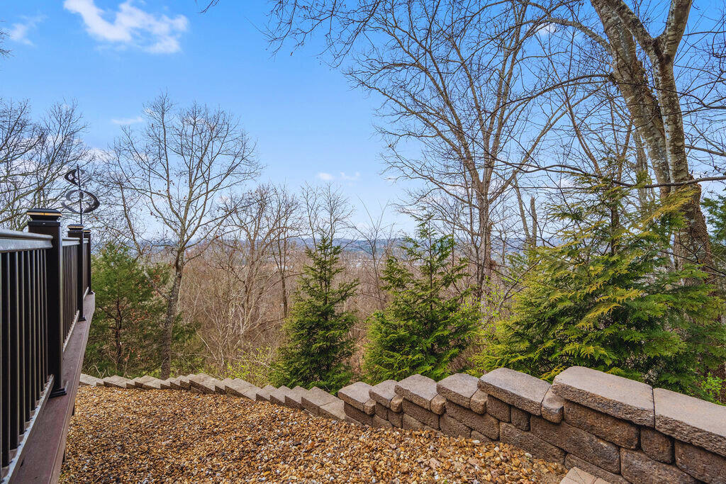 9954 Frost Ridge Drive Ooltewah, TN 37363 - Photo 4 of 102 298d0b4d-301c-49ae-9a9d-69ee6abd4285