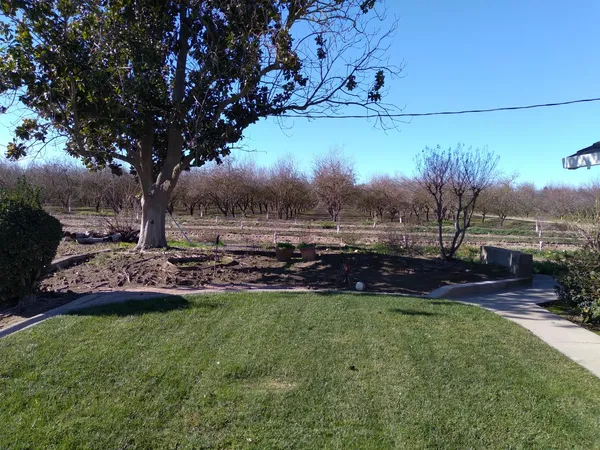 a view of yard with tree in the background