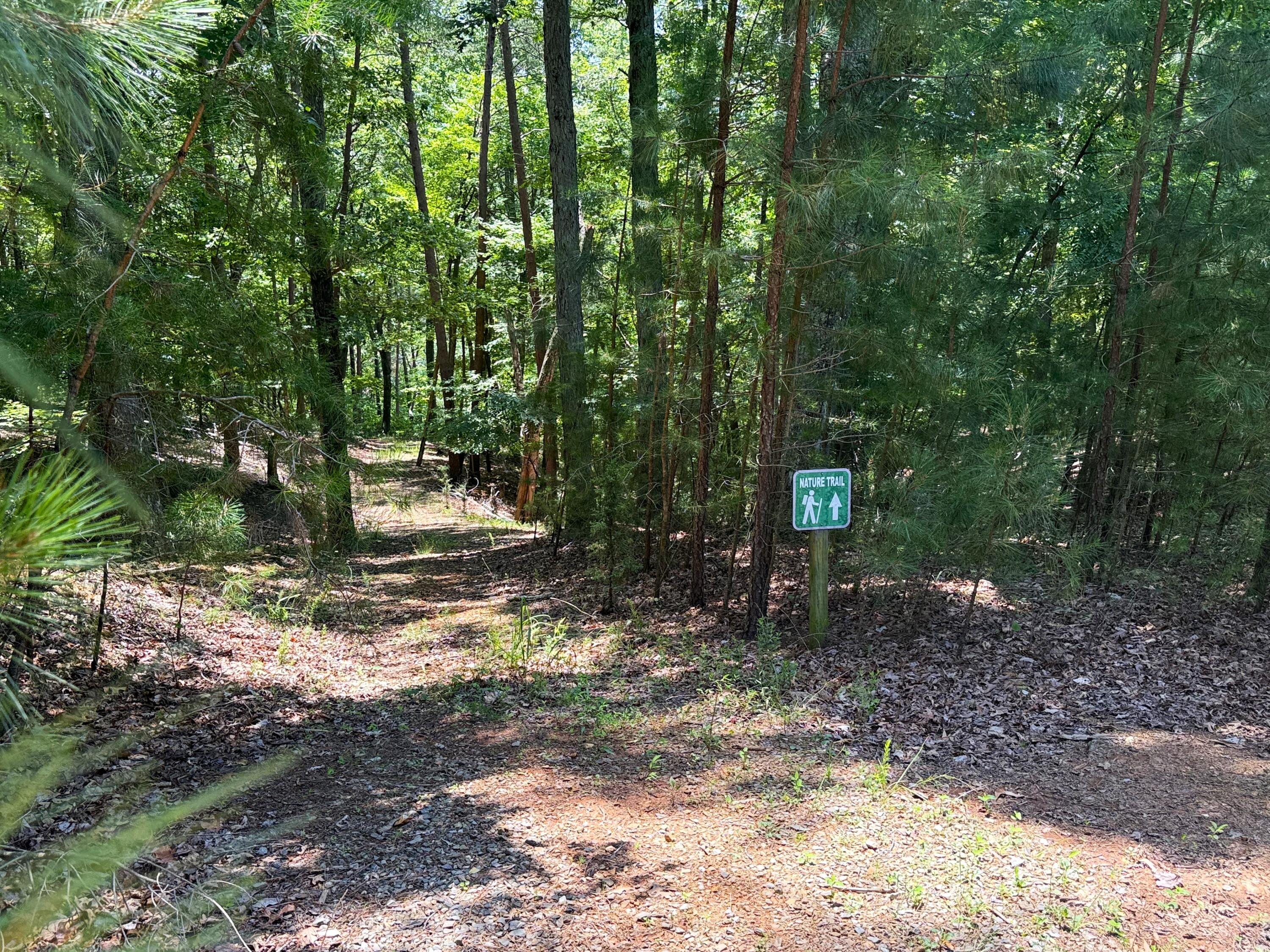 Lot 61 Garrison Ridge Pittsville, VA 24139 - Photo 10 of 14 Hiking Trails