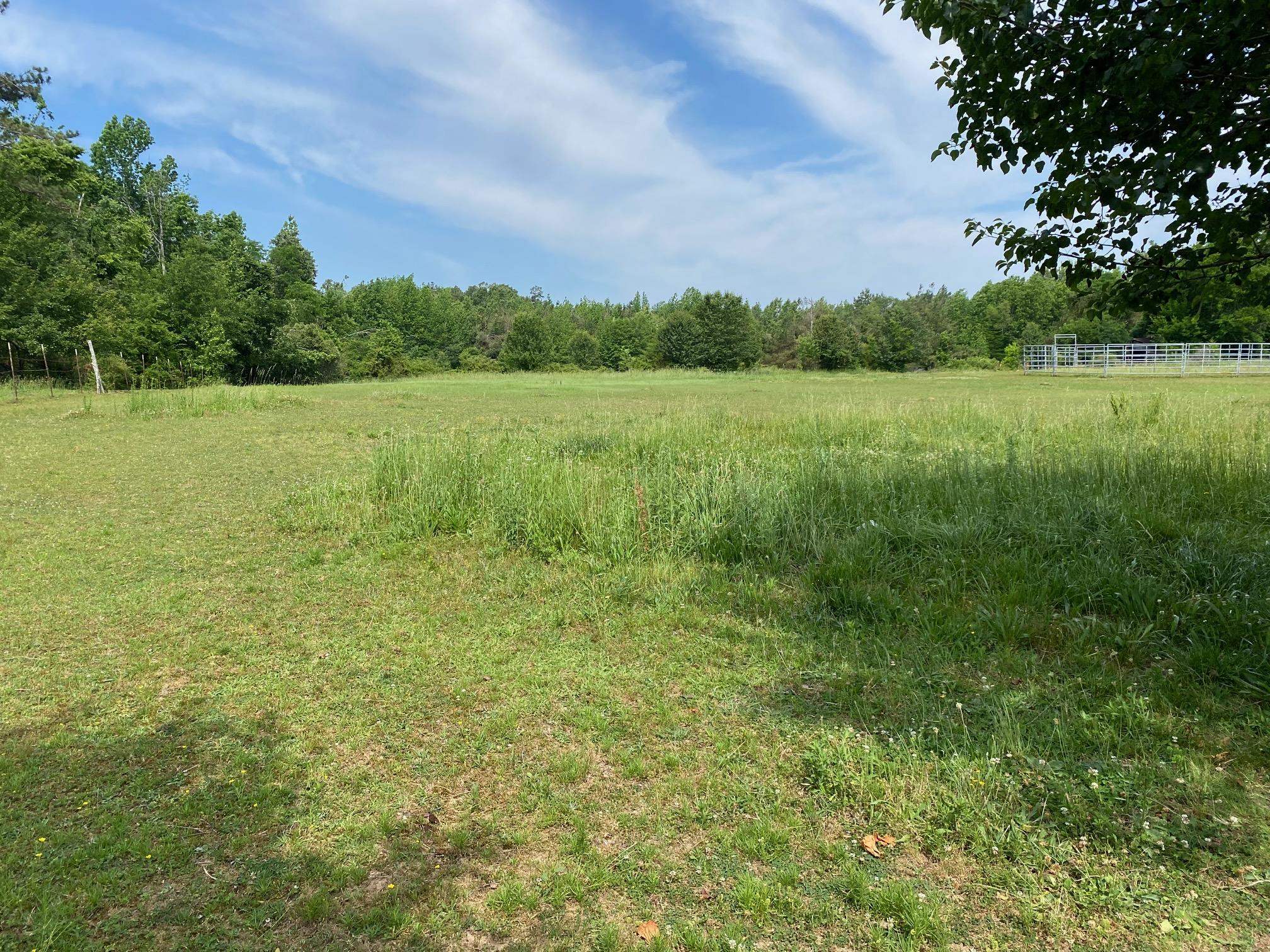 Dillon Road Michie, TN 38357 - Photo 3 of 7 a view of a lake with a big yard