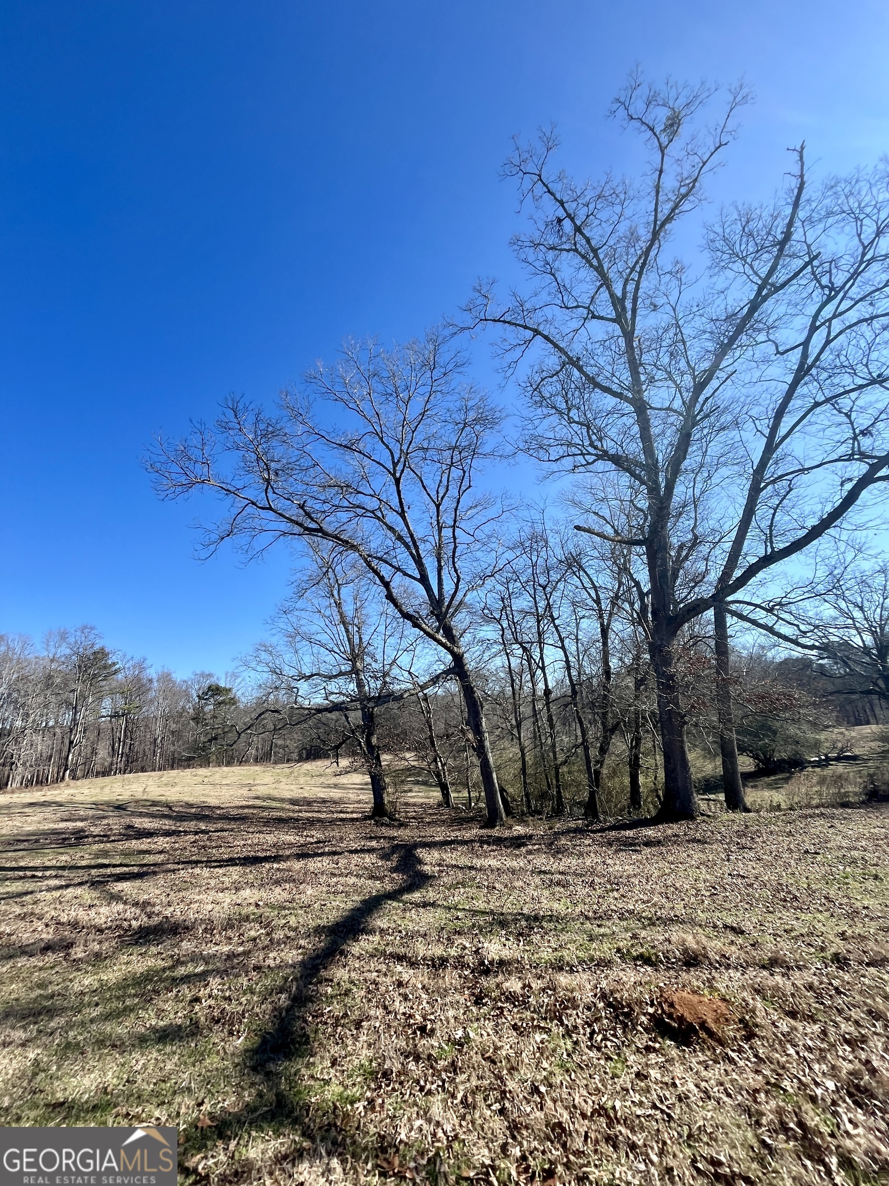 0 Kansas-jake Road Waco, GA 30182 - Photo 6 of 37