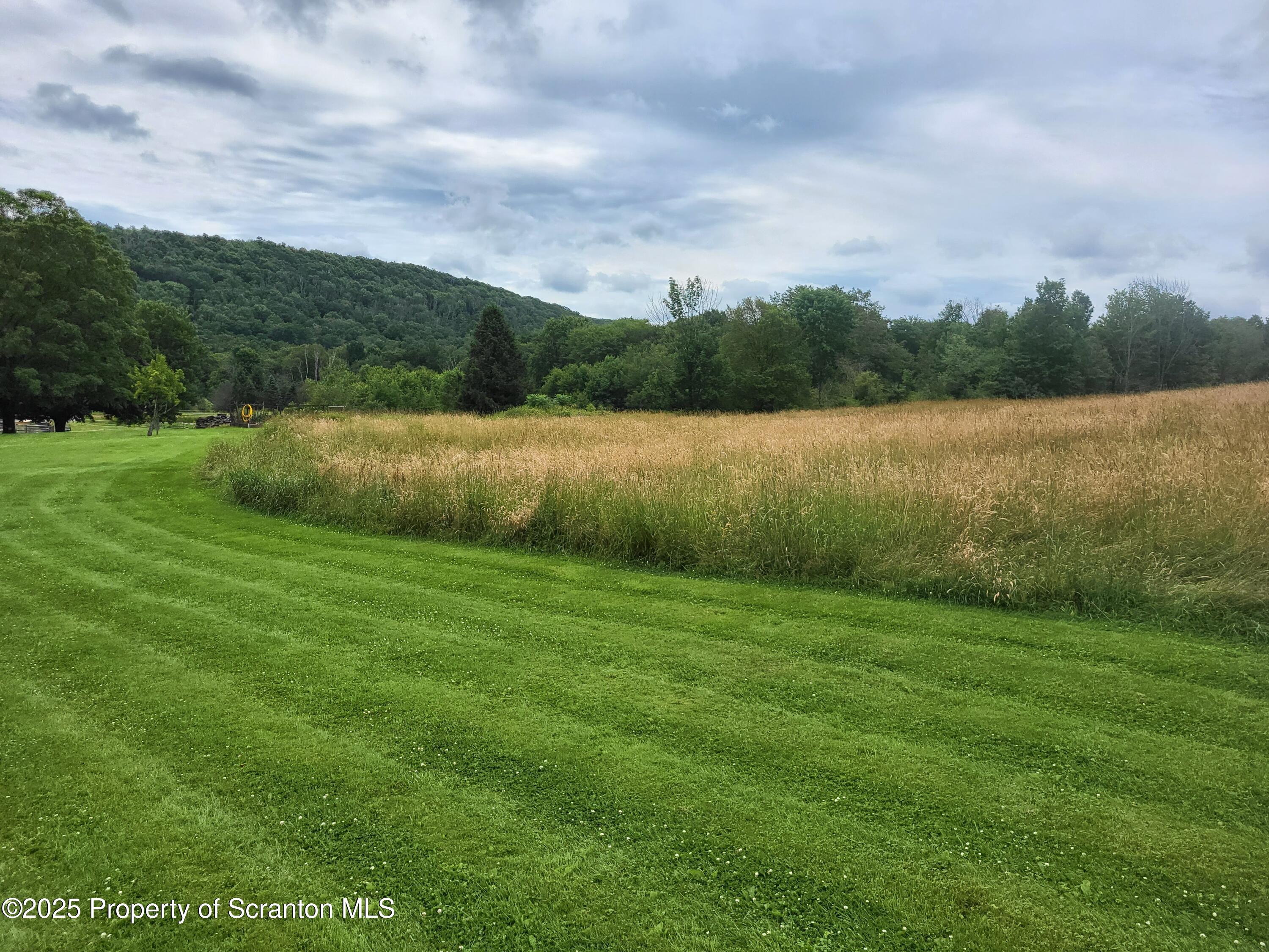 520 State Rte 2010 Forest City, PA 18421 - Photo 13 of 99 a view of lake with green space