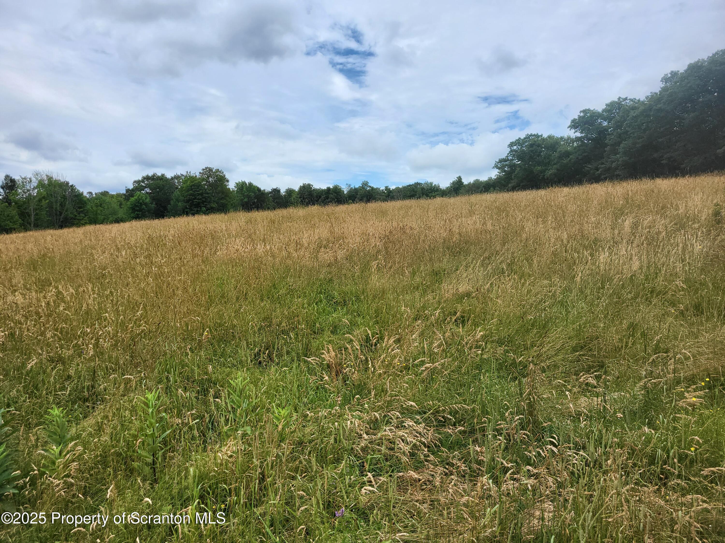 520 State Rte 2010 Forest City, PA 18421 - Photo 15 of 99 a view of a lake with houses in the back