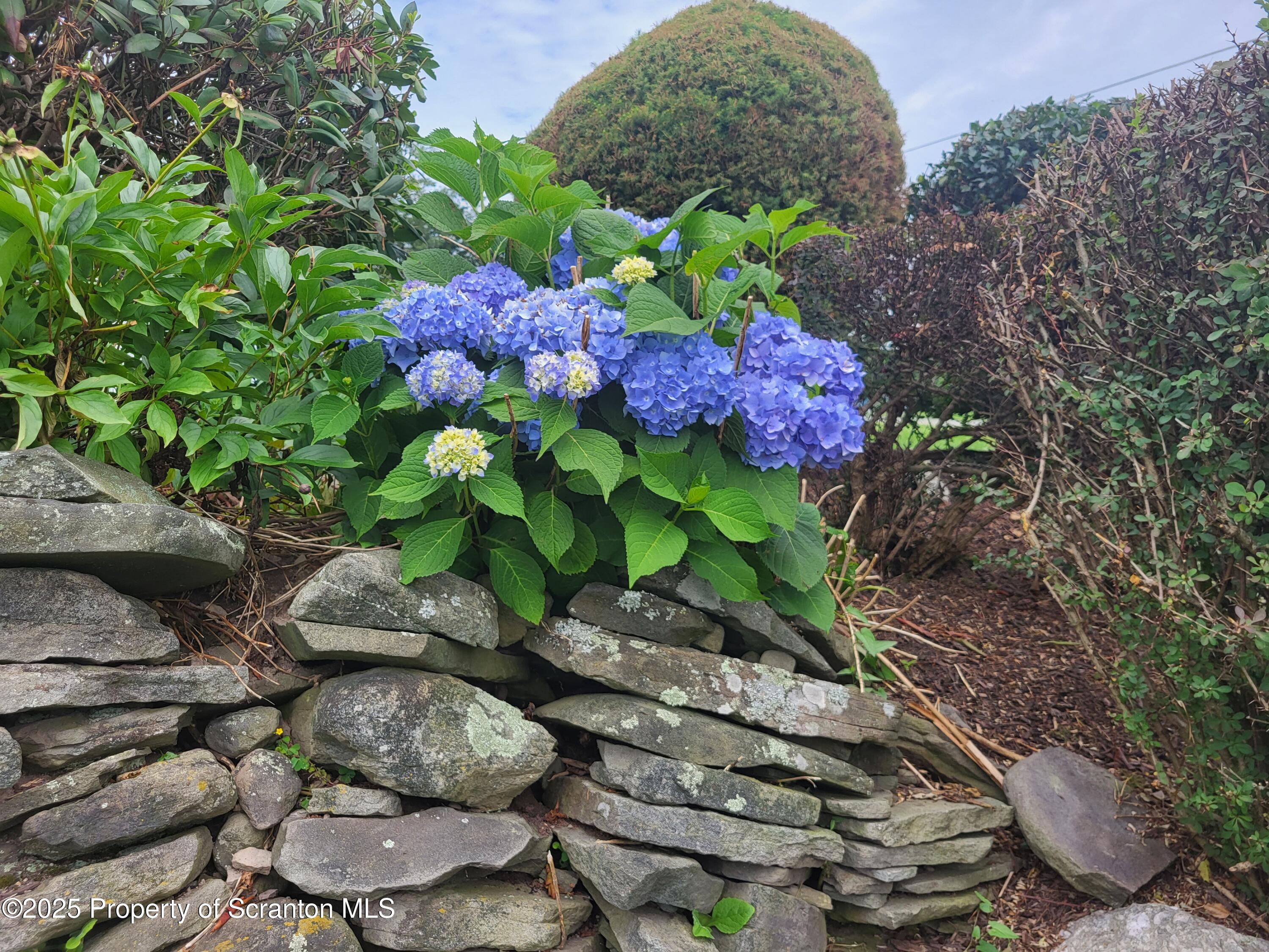 520 State Rte 2010 Forest City, PA 18421 - Photo 3 of 99 20250709_122949