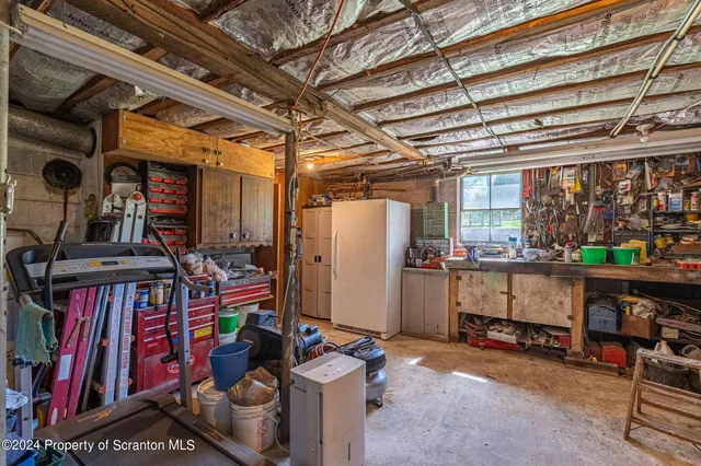 a close up of a plant in a garden