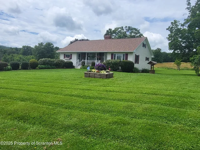 a close up of a plant