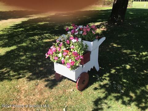 520 State Rte 2010 Forest City, PA 18421 - Photo 63 of 99 a view of a flower in a garden