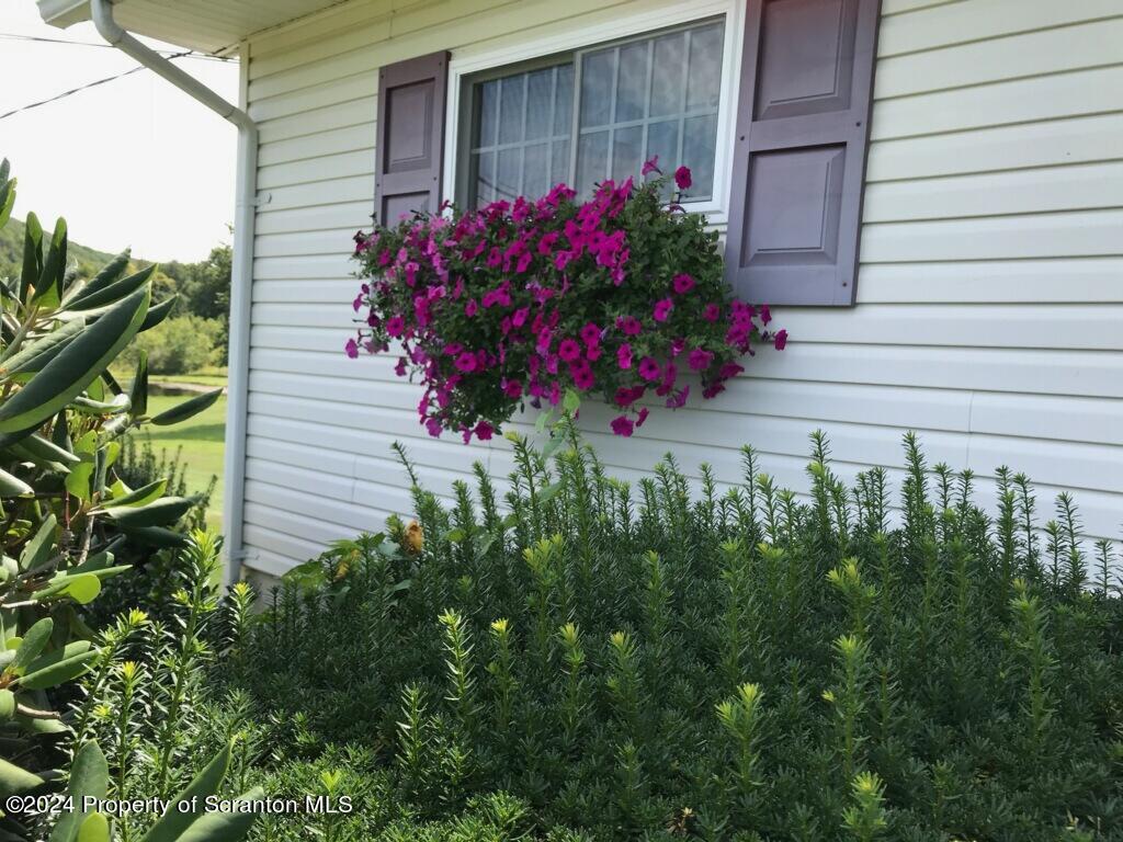 520 State Rte 2010 Forest City, PA 18421 - Photo 64 of 99 a view of a house with a flower garden