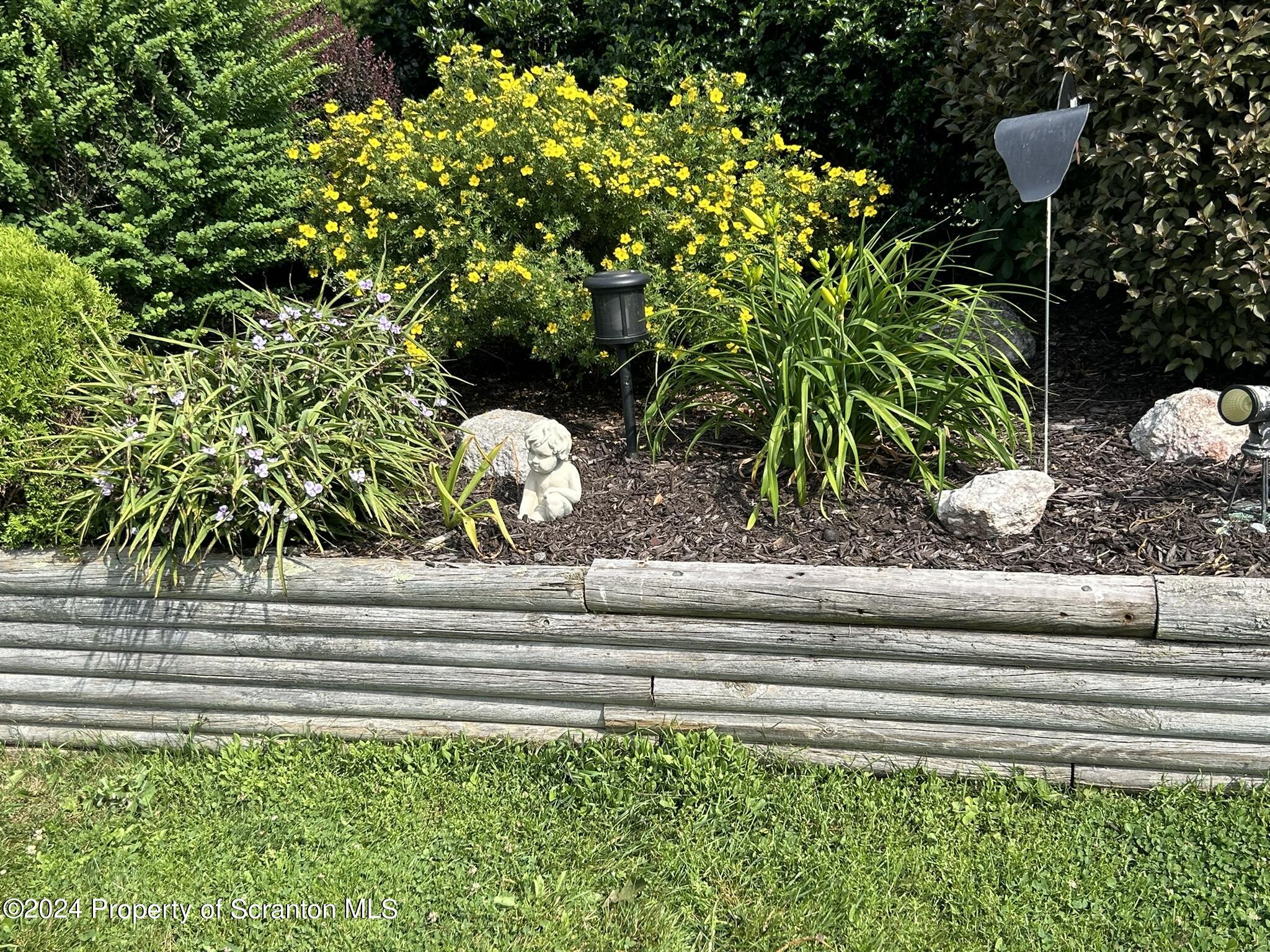 520 State Rte 2010 Forest City, PA 18421 - Photo 82 of 99 a potted plant sitting on the side of a road