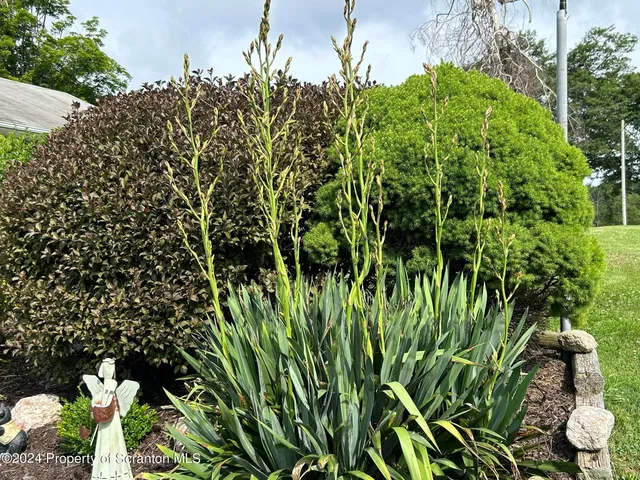 $440,000 | 520 State Rte 2010, Forest City, PA 18421