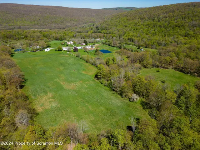 a view of a field with an trees in the background